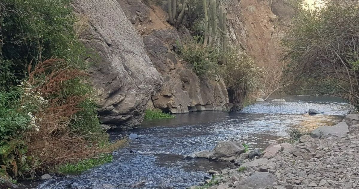 Tribunal rechaza reclamación y avala declaratoria de Humedal Urbano Estero del Arrayán en Lo Barnechea