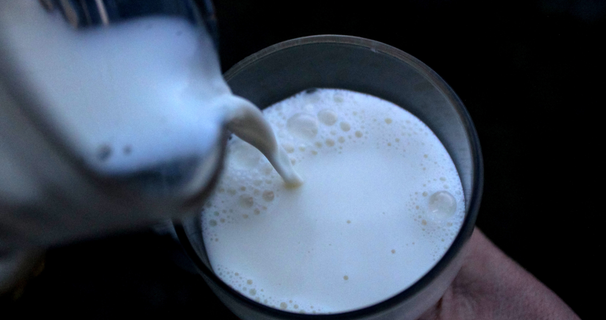 https://media.biobiochile.cl/wp-content/uploads/2026/10/vaso-de-leche.png