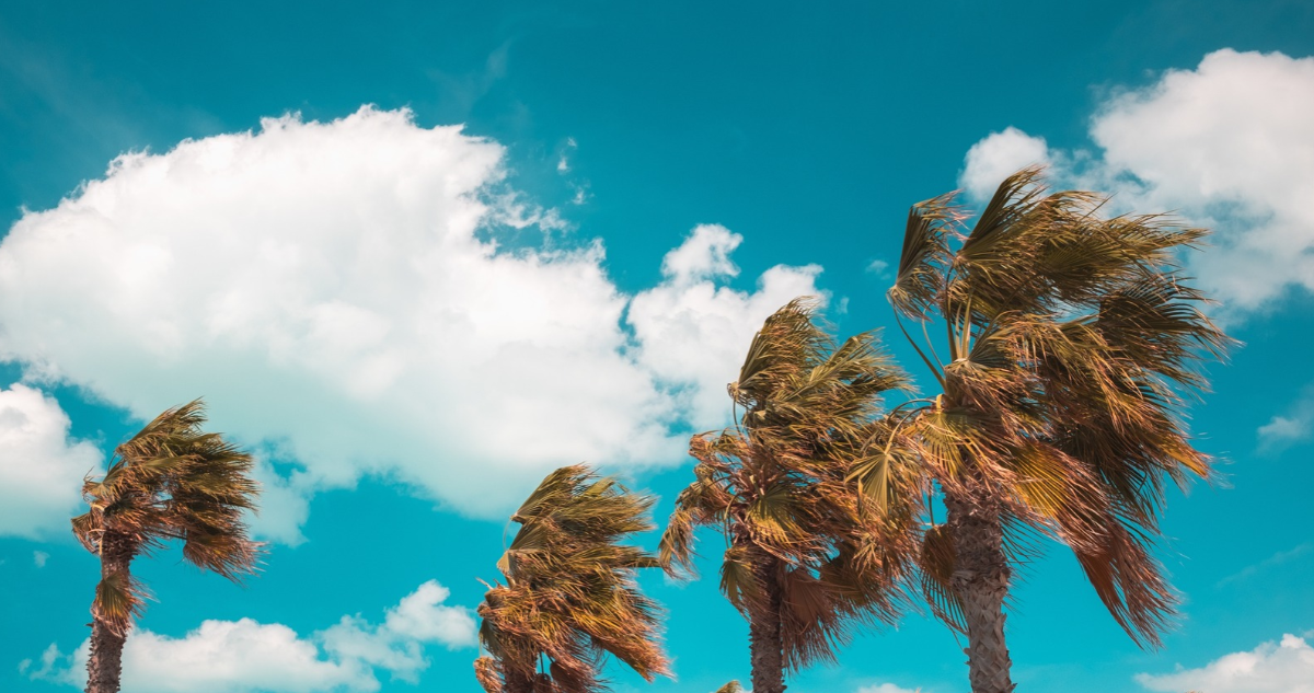https://media.biobiochile.cl/wp-content/uploads/2026/10/viento-antofagasta-tarapaca.png