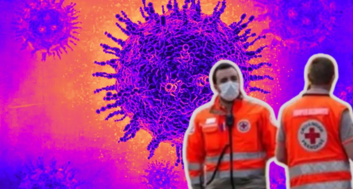 Todo lo que se sabe del caso del virus Shamoda confirmado en un humano en Francia