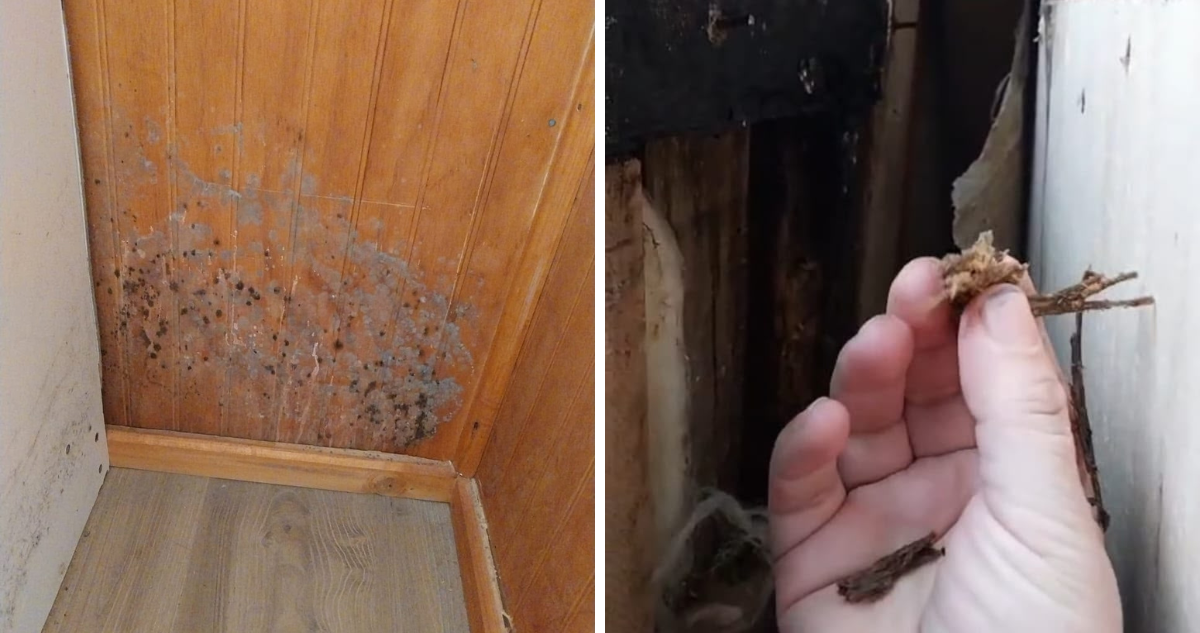 A menos de un año de su entrega: vecinos de Neltume en Panguipulli acusan diversos daños en viviendas