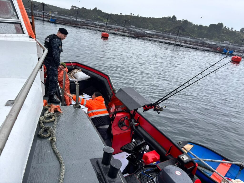 Denuncian sabotaje en centro de cultivo de salmones en Calbuco: red de jaula tenía corte de 15 metros